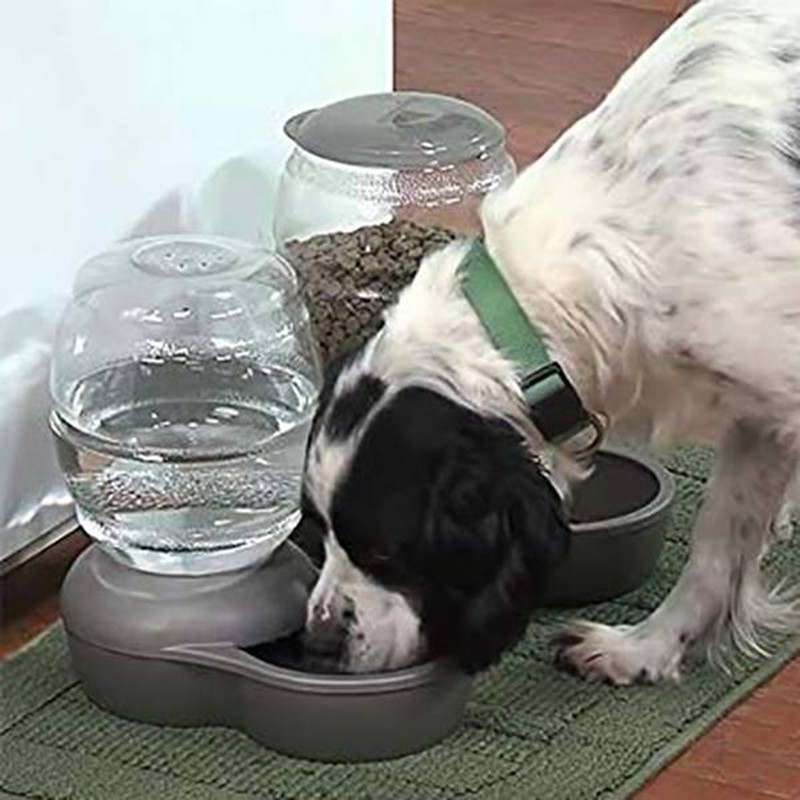 Set 24 Tấm Lọc Nước Chuyên Dụng Cho Thú Cưng