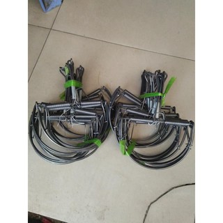 combo 2 Bẩy chuột , sóc bán nguyệt