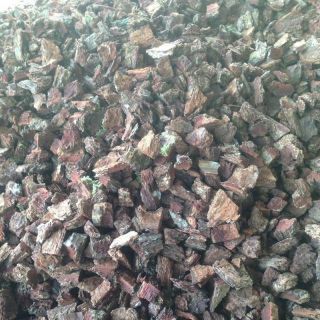 500g Vỏ thông trồng lan. Đã qua xử lý