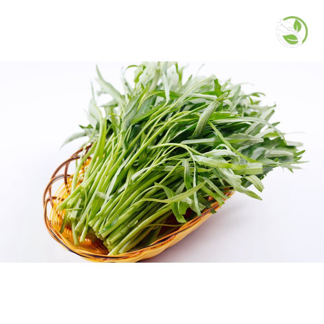 Hạt Giống Rau Muống Cao Sản ( Dạng Lá Tre) Phú Nông - Gói 50g - 100g