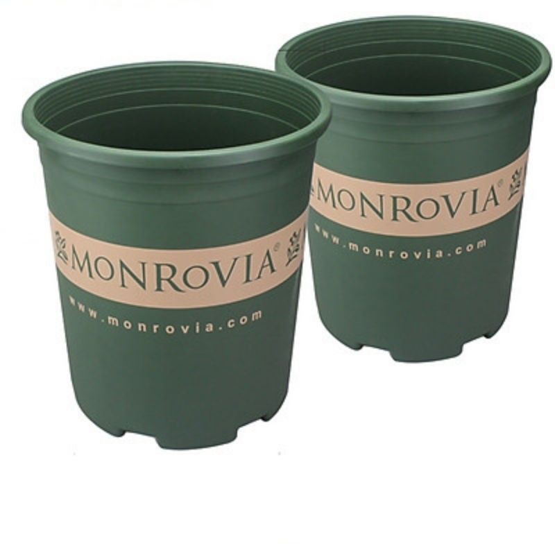 (Có đĩa lót) Monrovia 7gal (38x40cm) TQ_Chậu nhựa trồng hoa Mon dày bóng loại 1 hàng TQ