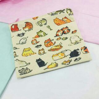 Pouch