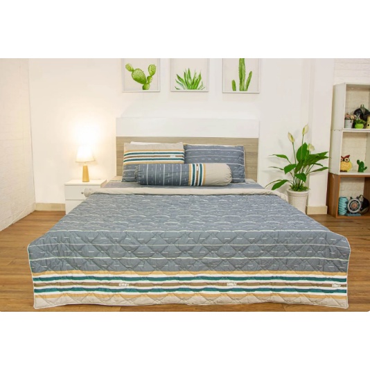 Drap Cotton TATANA - Thoáng mát - 100% Cotton