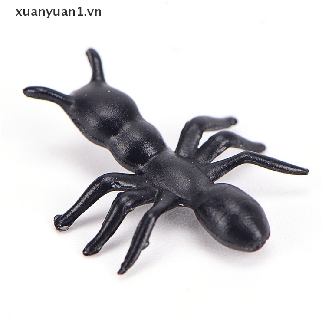 Set 50 Con Kiến Giả Màu Đen Dùng Để Trang Trí Lễ Halloween
