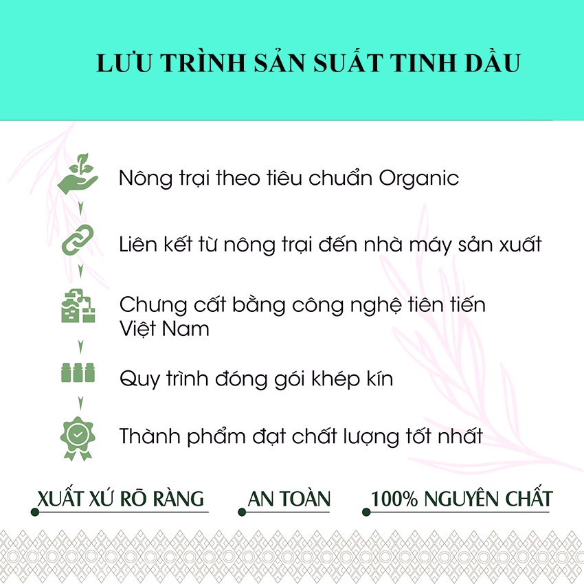 Tinh Dầu Thơm Phòng Thiên Nhiên Nguyên Chất Có Giấy Chứng Nhận Nhập Khẩu C.O.A Và Phân Tích Quatest