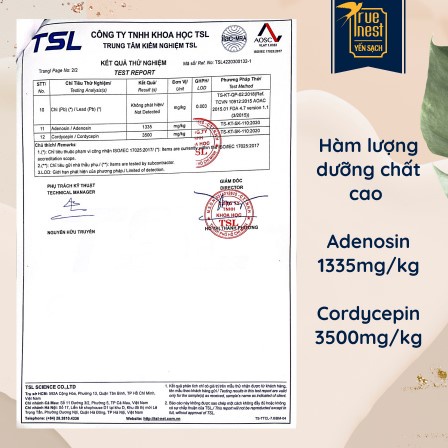 Nấm Đông Trùng Hạ Thảo hộp 10g Cao Cấp Sấy Khô Chống Lão Hóa Đẹp Da Tăng Miễn Dịch