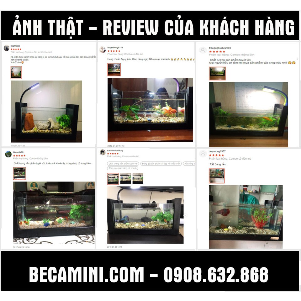 Bể cá mini khung gỗ