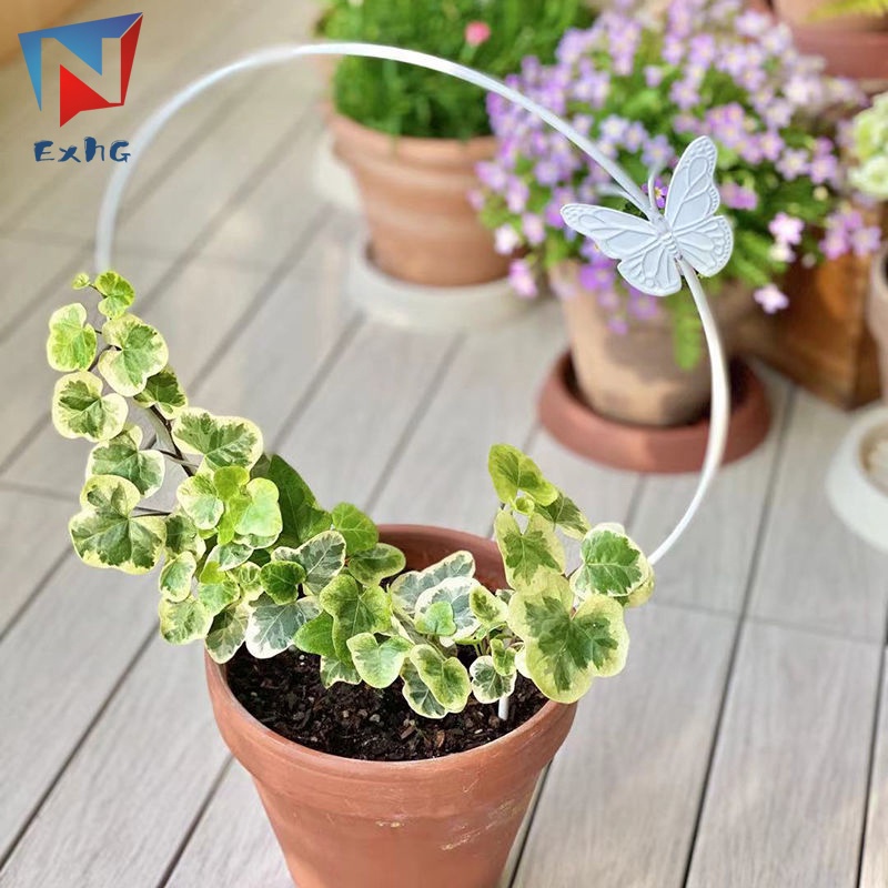 Giá Đỡ Dây Leo Bằng Kim Loại Dùng Trang Trí Chậu Cây Trong Nhà