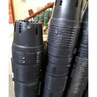 Combo 50 chậu trồng lan đường kính 16cm