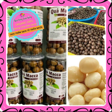 [Mới ra lò] Hạt Macca Úc NỨT VỎ TỰ NHIÊN TỐT CHO TIM MẠCH & BÀ BẦU (500g) - Tặng kèm dụng cụ tách vỏ | BigBuy360 - bigbuy360.vn