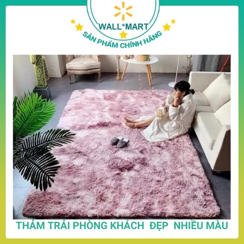 Thảm Trải Sàn Phòng Khách Size To 1.6M*2M Trang Trí Cao Cấp Wallmart WM10