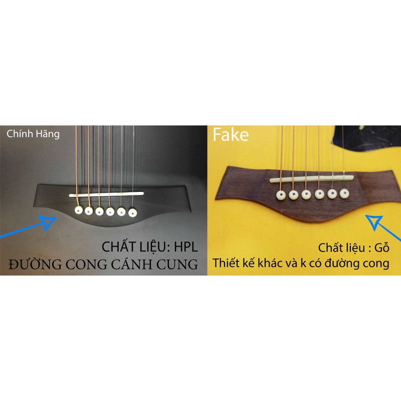 Đàn guitar Rosen G11 chính hãng bảo hành 2 năm bởi G4U (full phụ kiện)