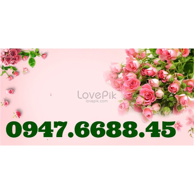 Sim vina số đẹp