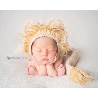 set chụp ảnh newborn sư tử