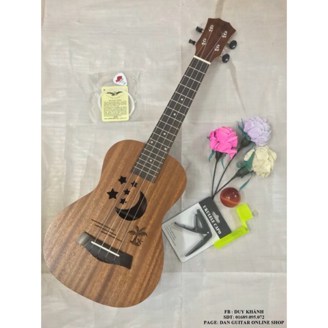 ĐÀN UKULELE CONCERT SUMMER