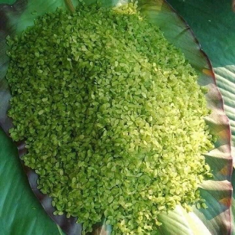 CỐM XANH TÂY BẮC GÓI 1KG