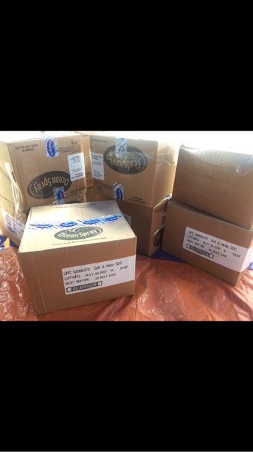 Nam Việt Quất - 1kg | BigBuy360 - bigbuy360.vn