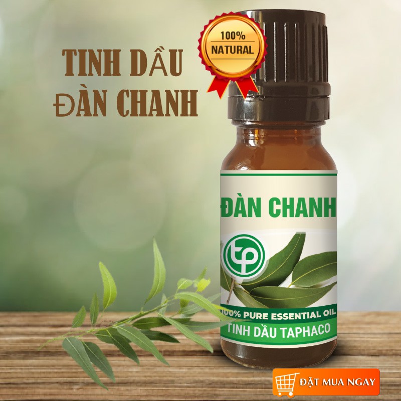 Tinh Dầu Bạch Đàn Chanh 10ml - TaPha