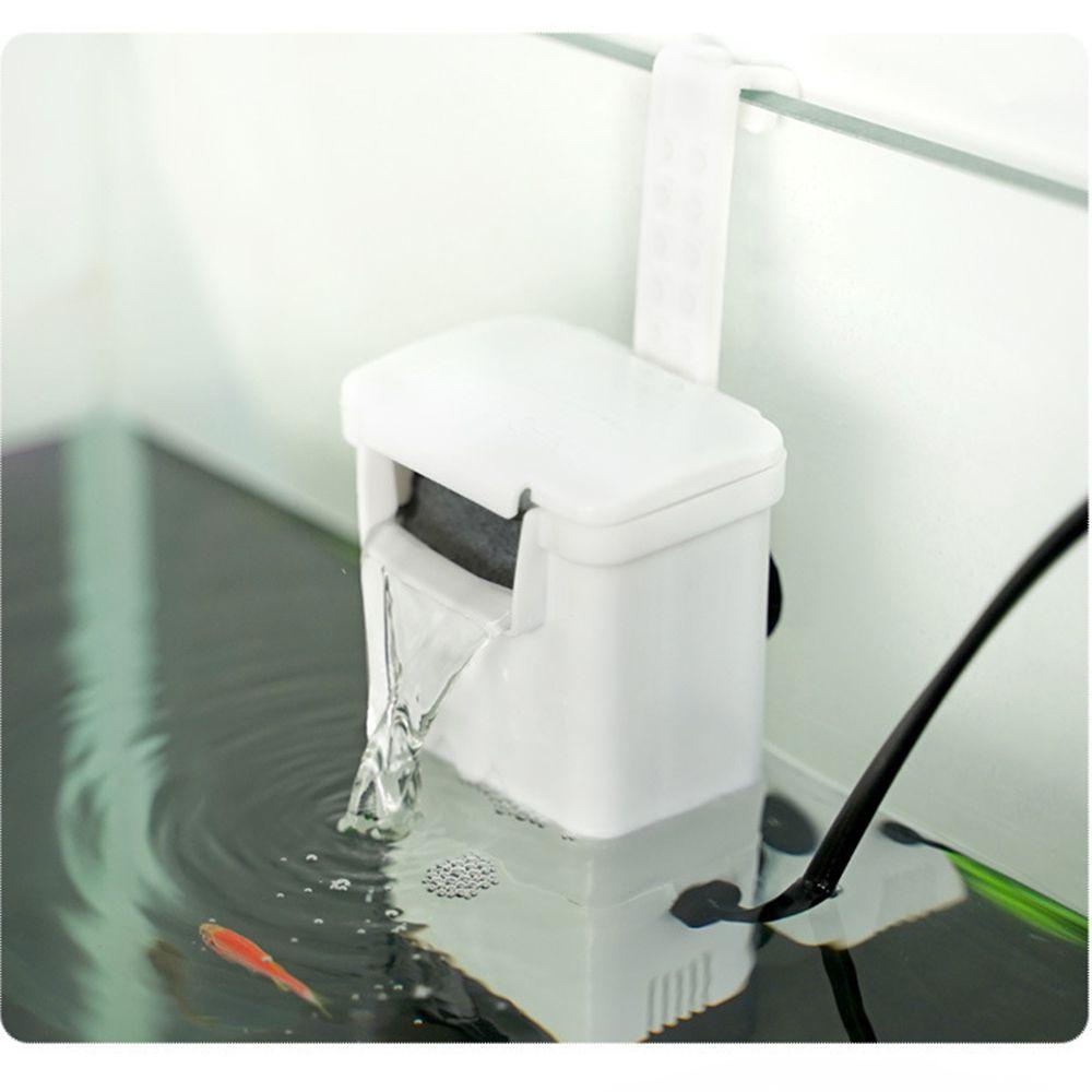 Máy Bơm Oxy Cho Bể Nuôi Rùa Tiện Dụng