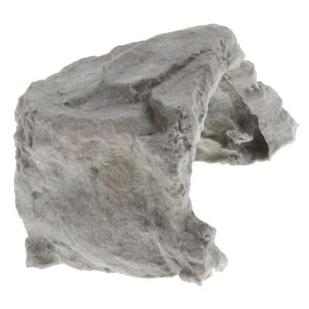 Hang động cho bò sát