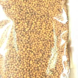Phân bón tan chậm hạt vàng Oscomote 14-14-14 nhập khẩu Mỹ gói 500g -thietbinhavuon- phanbonhoalan.