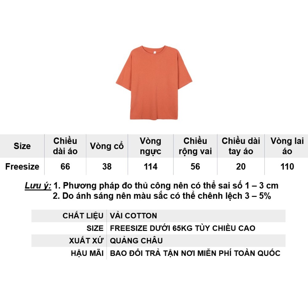 Áo thun trơn nữ form rộng cổ tròn hàng Quảng Châu Freesize