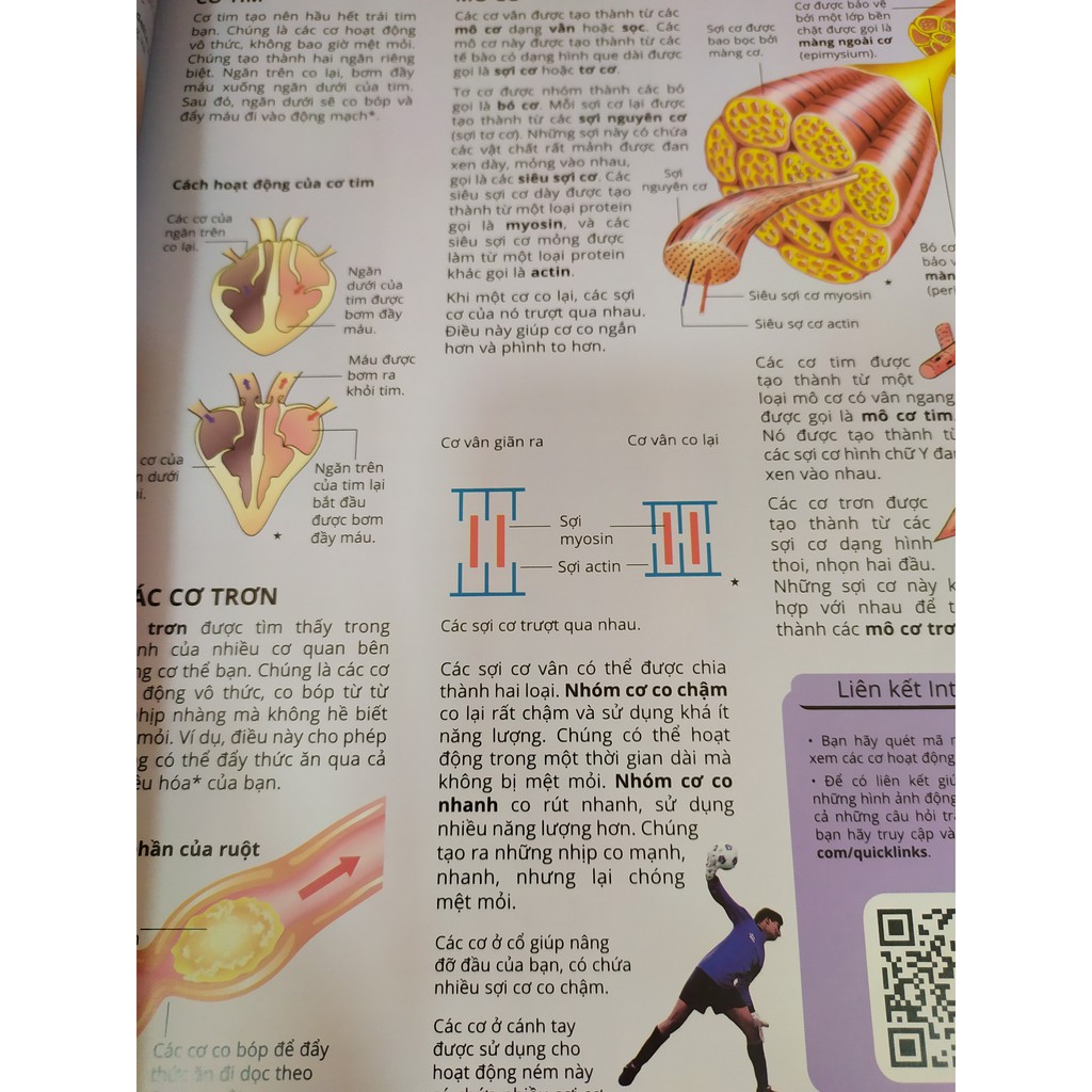 Sách - Science Encyclopedia - Bách Khoa Thư Về Khoa Học - Cơ Thể Người - 8935212348812