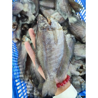 Combo khô cá sặc bổi, lóc đồng, dứa, lù đù, chà bông cá lóc (9.1kg)
