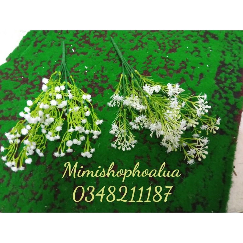 Hoa Giả Baby sao - trang trí nhà cửa, cắm điểm siêu đẹp.