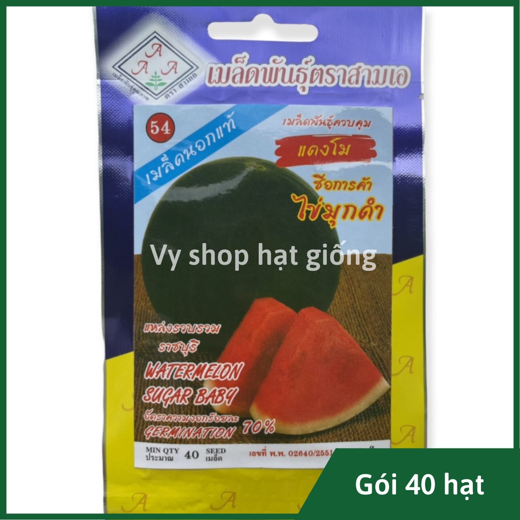 Hạt giống dưa hấu sugar baby Thái Lan gói 40 hạt