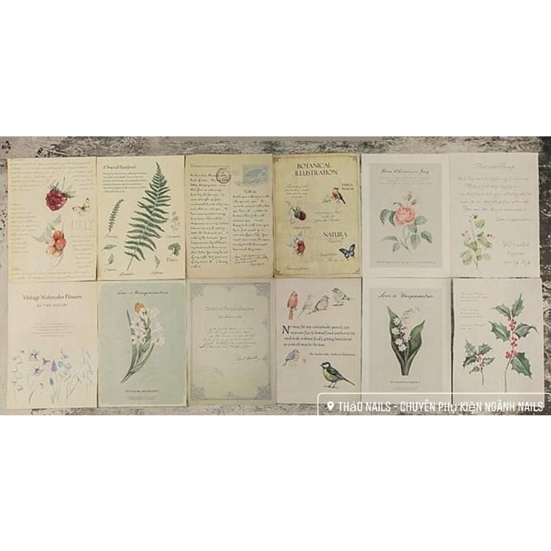 Set 4 giấy nốt nhạc decor chụp ảnh- phụ kiện đồ nail