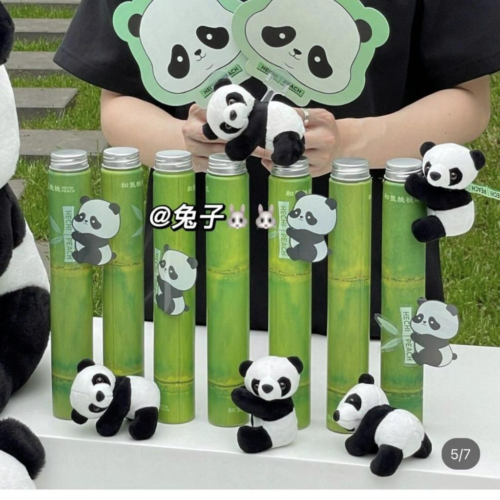 CÓ SẴN Combo bình nước ống tre gấu trúc panda (bình+panda +dây đeo)