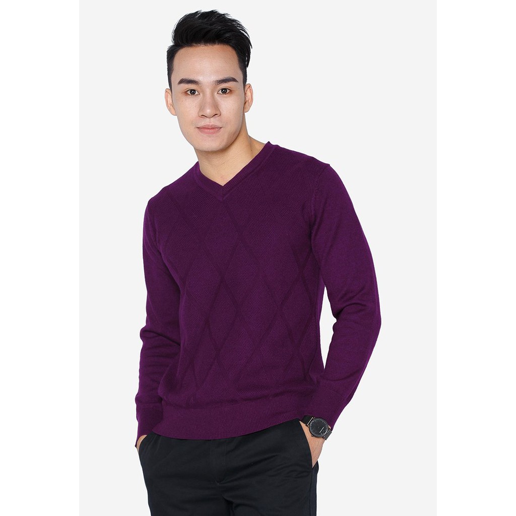 Áo len nam dài tay ALIGRO cổ tim 100% chất liệu len form slimfit tím quả trám ALEND020