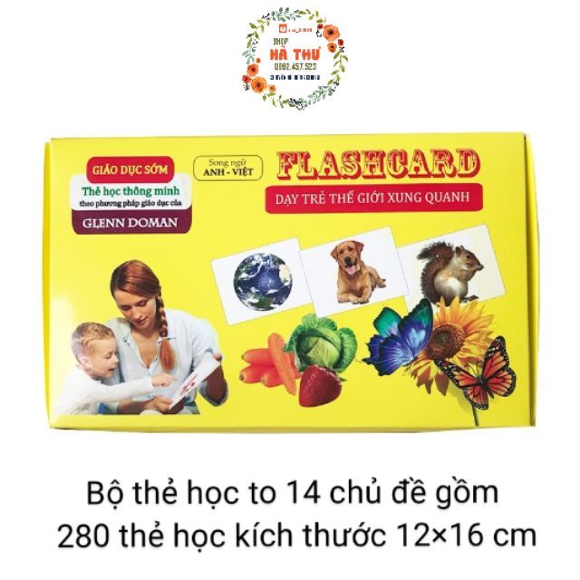 Bộ thẻ học to Flash card nhận biết thế giới xung quanh Glenn Doman 14 chủ đề 280 thẻ