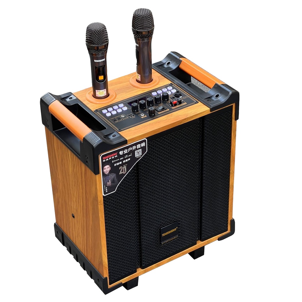 Loa kéo di động Temeisheng QX-0870