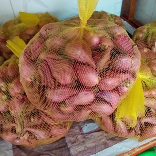 Hành Phan Rang