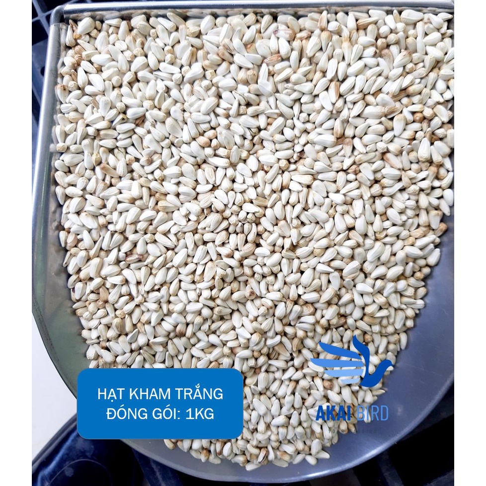 [1KG] Hạt Kham Trắng Cho Vẹt, Hamster, Sóc, Chim Cảnh....