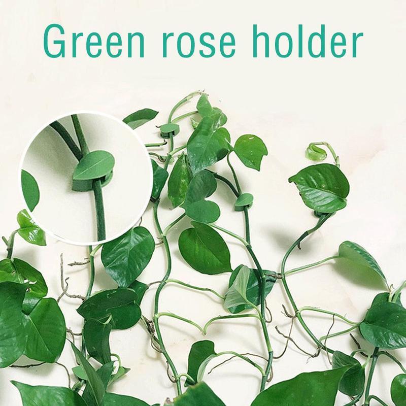 10 kẹp XIAODUOJIAJU cố định thân cây màu xanh lục tiện lợi