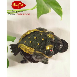 Thiềm Thừ Đổi Màu