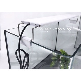 Đèn Led Ánh Sáng Trắng Bể Cá Cảnh