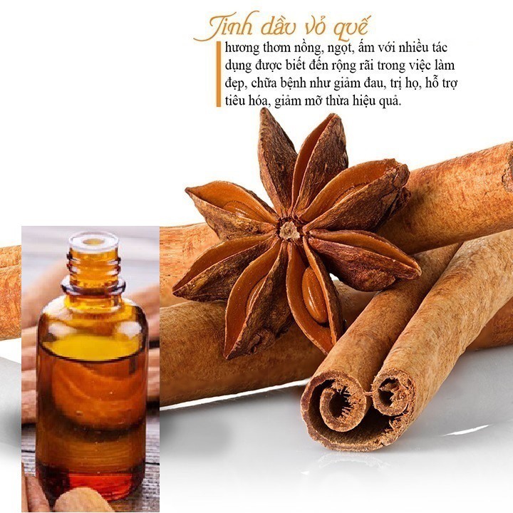 Tinh dầu quế FREESHIPTinh dầu thơm phòng 10ml | 50ml | 100ml | nguyên chất|thư giản|thơm mát|khử mùi|đuổi côn trùng