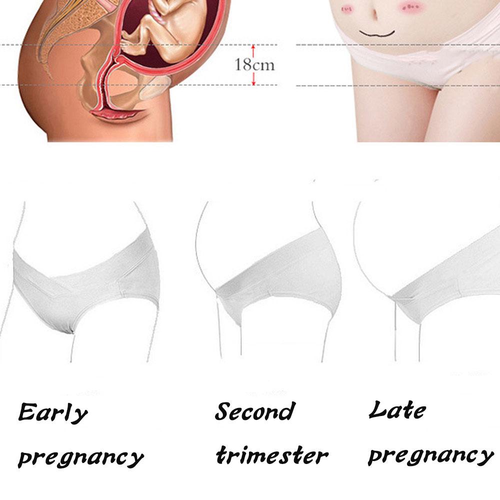 MOCHO Quần Lót Bà Bầu Họa Tiết Chấm Bi Thời Trang