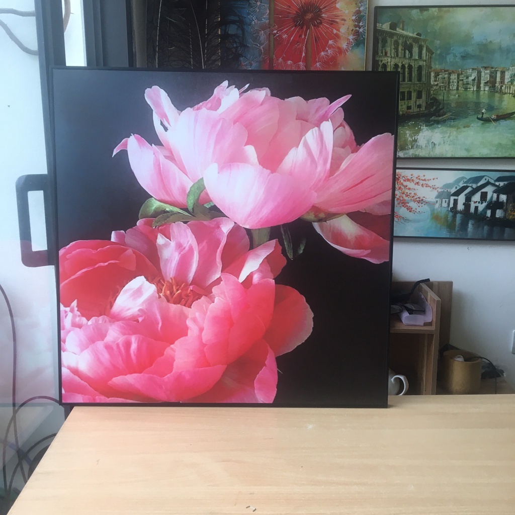 Tranh hoa Mẫu Đơn - Tranh in canvas đủ khung và đinh treo - kích thước 60x60cm