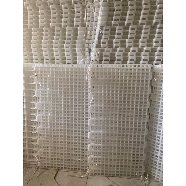 Sàn nhựa cho Dê, Gà ...