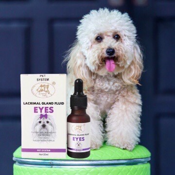 Siro Uống Chống Chảy Nước Mắt Ở Chó Mèo Lacrimal Gland Fluid EYES 20ml