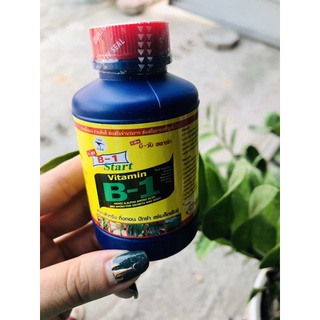 Phân bón lá Vitamin B1 Thái Lan (100ml)