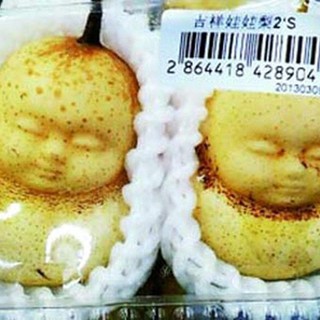 Hạt giống lê tiểu đồng| Lê mặt nhân