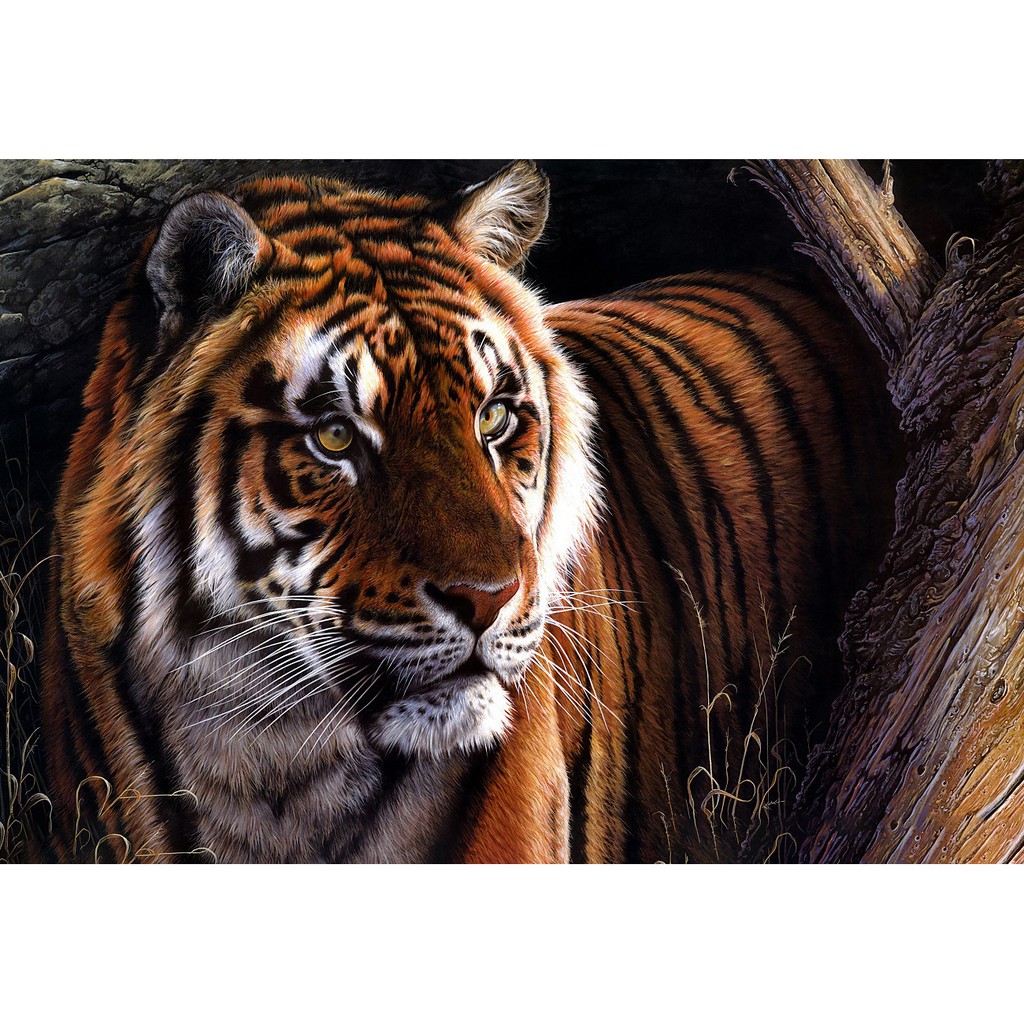 Bộ tranh xếp hình jigsaw puzzle cao cấp 330 mảnh – Chúa Sơn Lâm