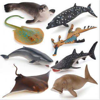 Mô hình động vật cá biển