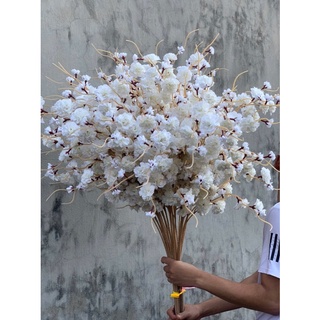 a đào râu đẹp combo 10 cành